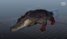鳄鱼maya模型