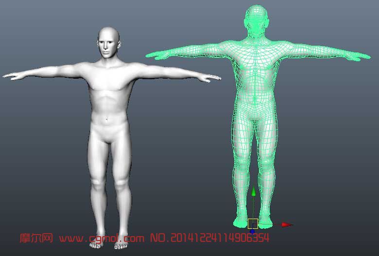 标准maya男人体模型 基础人体 动画角色 3d模型下载 3d模型网 Maya模型免费下载 摩尔网