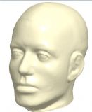 人体头部模型