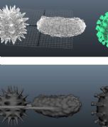 三个细菌 细胞 模型