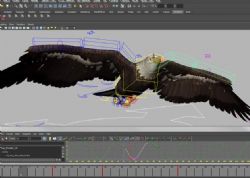 飞翔的大鹰maya模型,绑定好