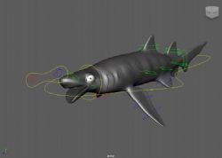 虎鲨maya模型