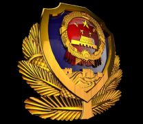 人民警察的警徽（金属材质）