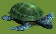 3D乌龟模型