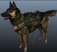 军犬maya模型