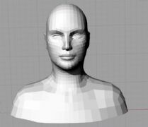 标准人物头像3D文档