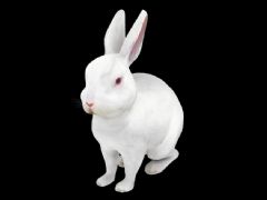 兔子3D写实模型