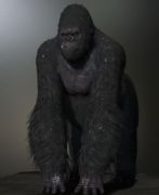 金刚,黑猩猩3D模型