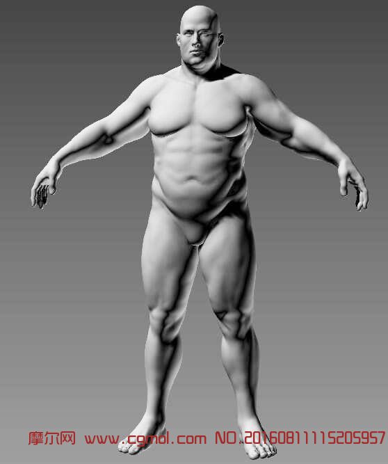 Maya男人体 胖子 基础人体 动画角色 3d模型下载 3d模型网 Maya模型免费下载 摩尔网