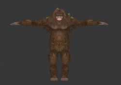 神农架野人,猿人3D模型