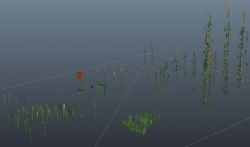 高粱地,水草maya模型