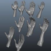 9款手掌的Maya模型