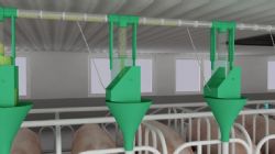 养殖场自动供料系统模型动画