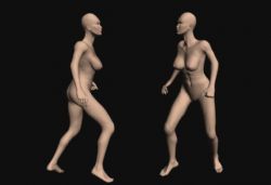 女性人体,裸体