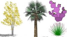 SU植物模型-3d植物树木