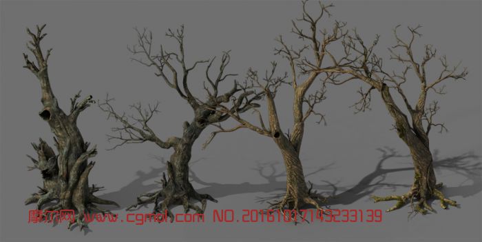四个枯树,老树,树木模型,植物模型,3d模型下载,3D模型网,maya模型免费下载,摩尔网