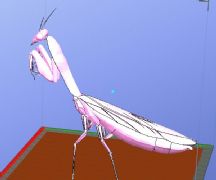螳螂3D打印文件