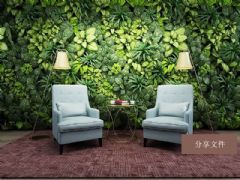 生态绿植墙,休闲椅,绿植