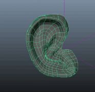 耳朵 maya模型