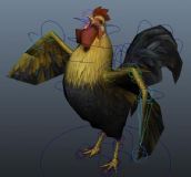 公鸡,绑定动画maya模型