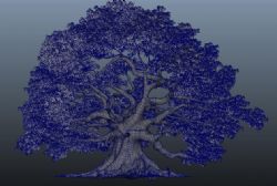 大枫树maya模型