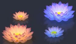 蓝莲花,莲花灯max模型,带贴图灯光