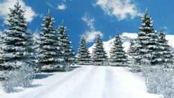 冬季氛围冬天的松树带雪山的雪景场景