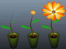 简单的花茎生长小动画