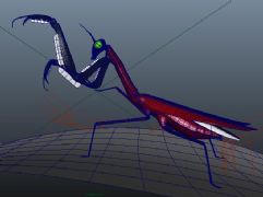 攻击状态的螳螂maya模型