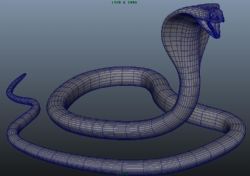 眼镜王蛇模型