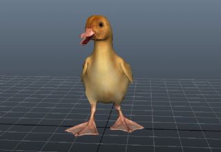 maya写实鸭子