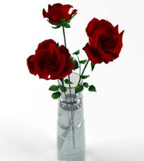 大朵玫瑰花瓶