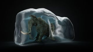冰冻猛犸象