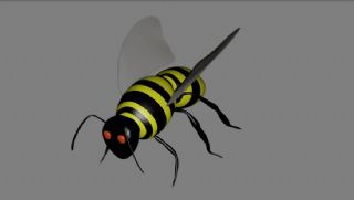 昆虫—蜜蜂max2011模型
