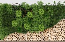 现代绿植背景墙饰圆木块木饼