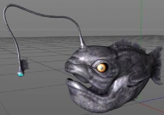 灯笼鱼C4D模型