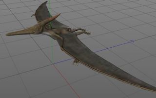 Pteranodon翼龙,蝙蝠龙C4D模型