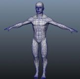 人体maya模型