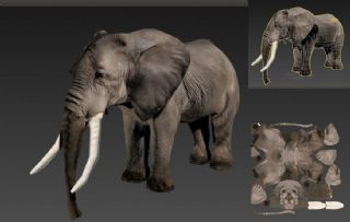 大象模型,猛犸象blender模型,带走路,奔跑,攻击,进食等动画