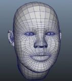 写实人头maya模型