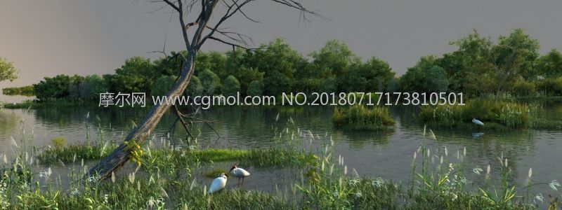 湿地公园,生态保护区漫游模型,带动画(网盘下载)