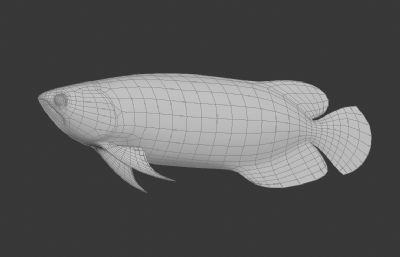 金龙鱼max模型
