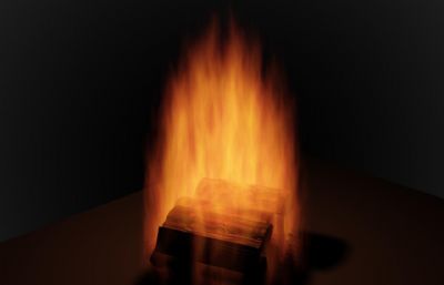 火,木块火堆max模型