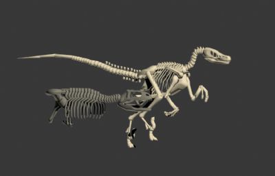 恐龙骨架,侏罗纪世界2布鲁骨架模型