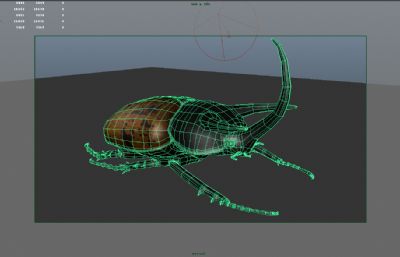 兜虫,毛象大兜虫maya影视级写实昆虫模型,带MB,FBX,OBJ格式