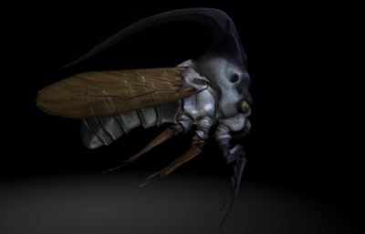 刺虫maya影视级写实昆虫模型,有MB,FBX,OBJ三种格式