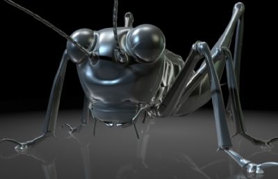 巨型蟋蟀,蛐蛐,夜鸣虫,斗鸡,促织maya写实昆虫模型,带MB,FBX,OBJ格式