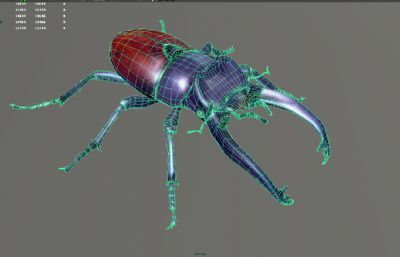锹甲,夹夹虫,锹形虫,鹿角虫maya影视级写实昆虫模型,MB,FBX,OBJ格式