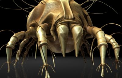 螨虫,尘螨maya影视级级写实昆虫模型,MB,FBX,OBJ格式