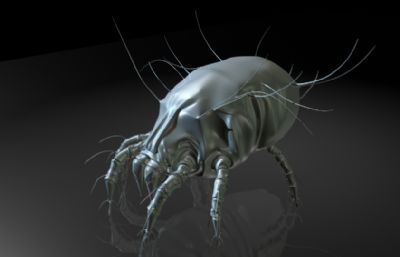 螨虫,尘螨maya影视级级写实昆虫模型,MB,FBX,OBJ格式